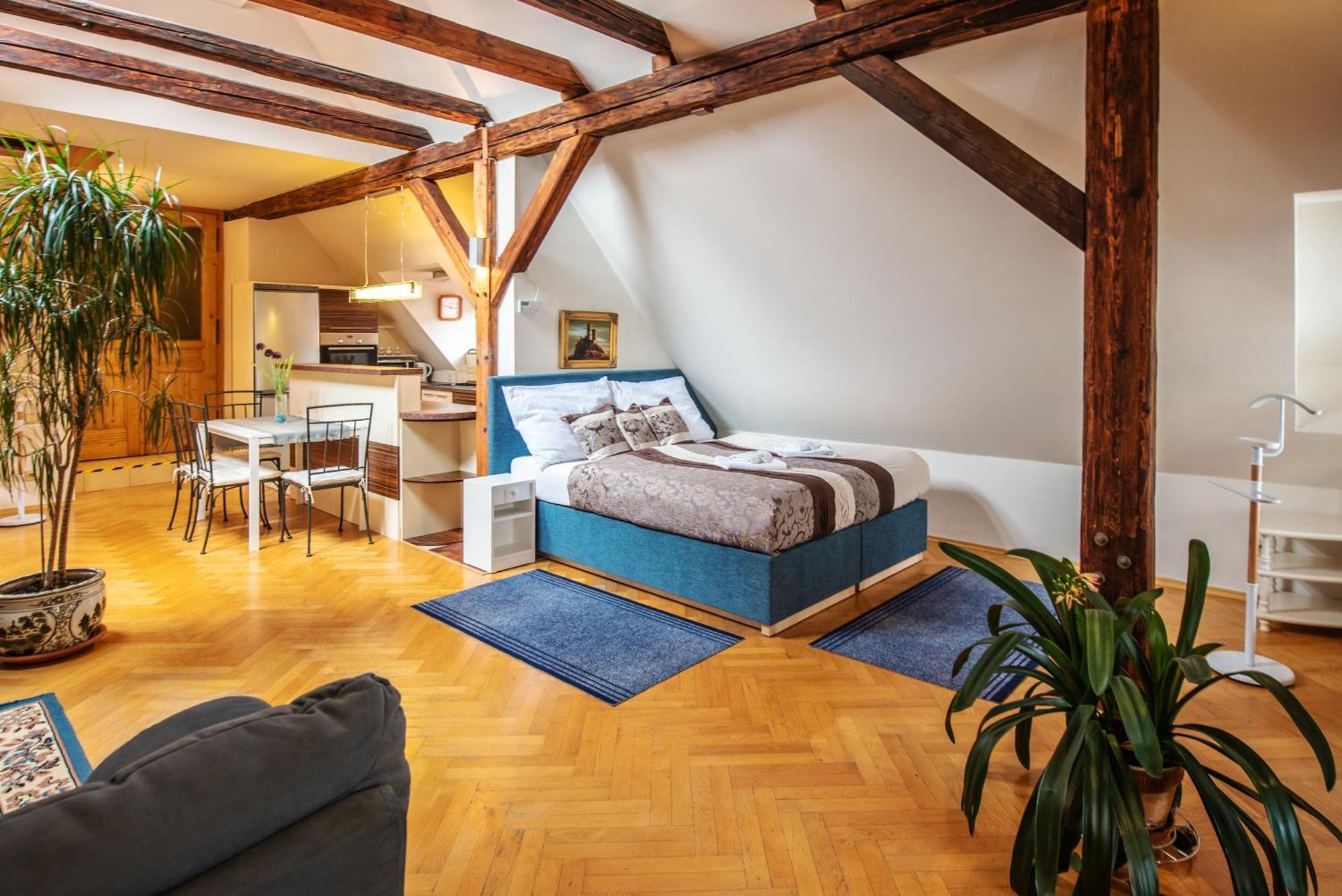 Ubytování u BÍLÉ PANÍ Český Krumlov Chambre photo